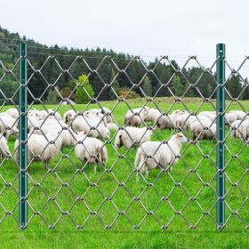 3 Feet Fence Post 10 Pack T-Post Heavy Duty Metal Fence Posts Green (Option: Green)