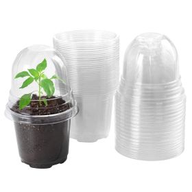 30Pcs Plant Nursery Pots PET Flower Seed Starting Pots Container with Dome with Drainage Holes (Option: Transparent)
