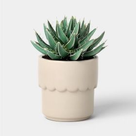 Ceramic Modern Outdoor Planter – Cream, 4"x3.875" For Plants & Succulents (Option: 04)